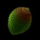 chrono cross item ancient fruit