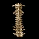 chrono cross item good backbone