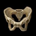 chrono cross item pelvic bone