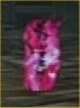 Anticurse Amulet