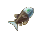 Barreleye-Dor