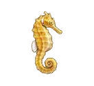 Seahorse-Dor