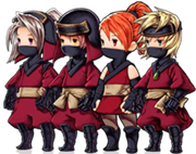 Ninja