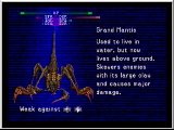 FF8