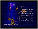 FF8