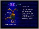 FF8