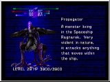 FF8