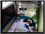 FF8