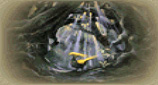 Final Fantasy Tactics Unexplored Lands: Chocobo Forest