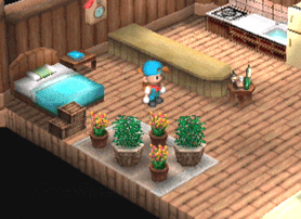 extension2.gif