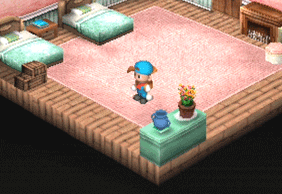 extension4.gif