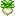 Turnip