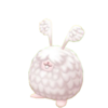 Angora Rabbit