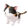 American Shorthair