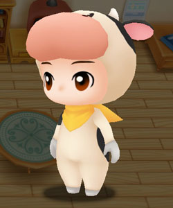Clothing Outfit