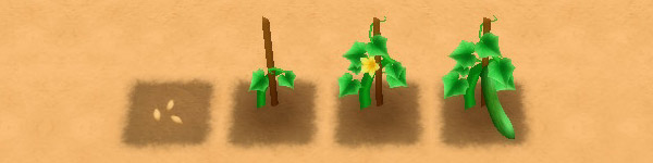 Cucumber growth stages image