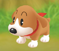 Standard Dog