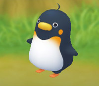 Navy Penguin