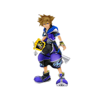 kingdom hearts II  form