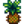 Pineapple.png